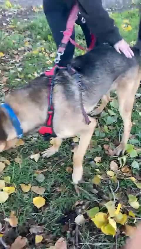 KAISER